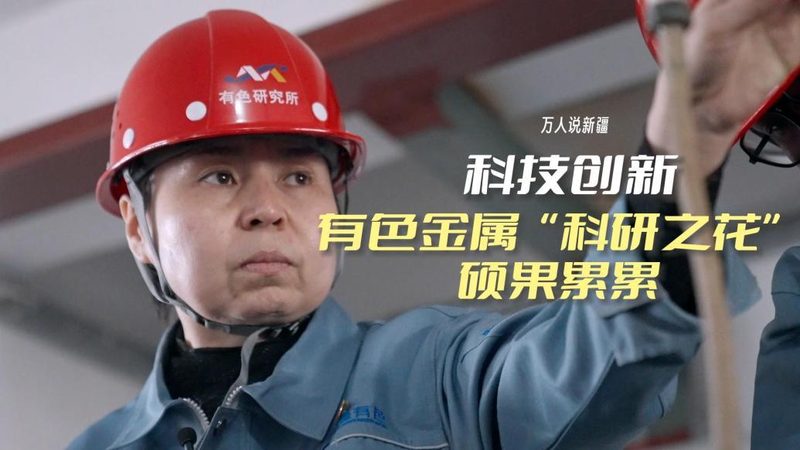 小标题：行业现状解析